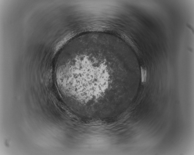 X0000100490675200806271237