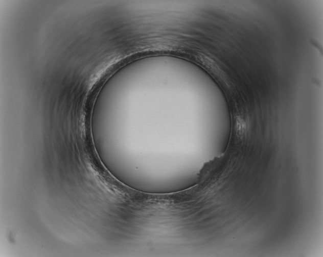 X0000100490676200806271237