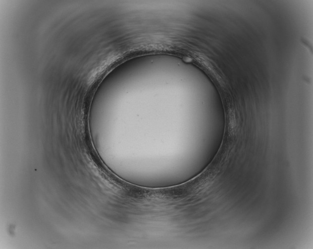 X0000100490677200806271237