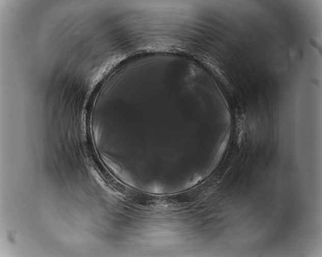 X0000100490678200806271237