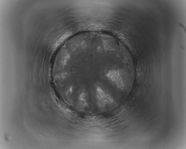 X0000100490679200806271237