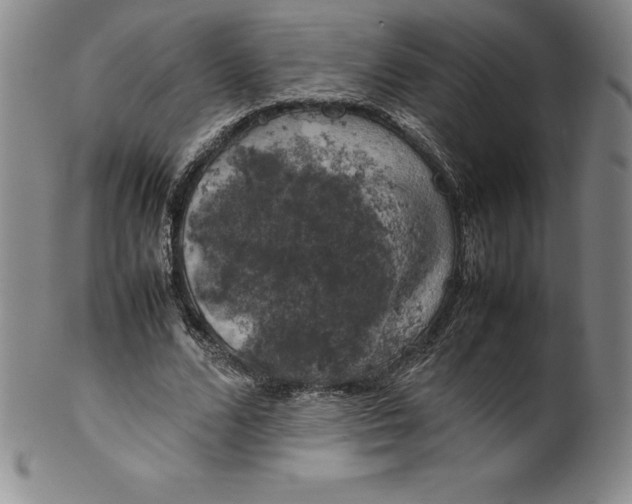 X0000100490680200806271237