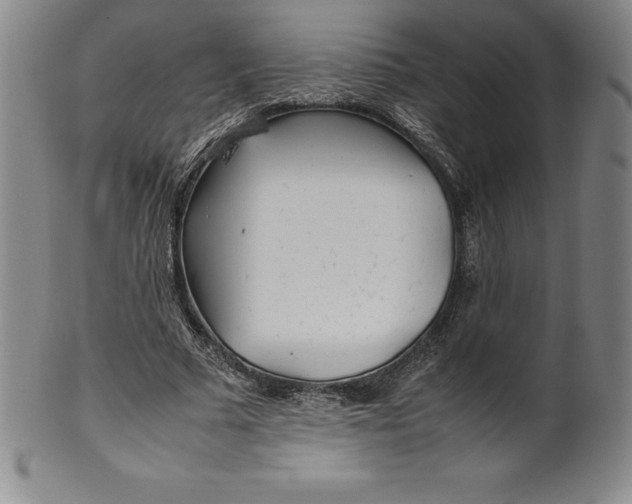 X0000100490681200806271237