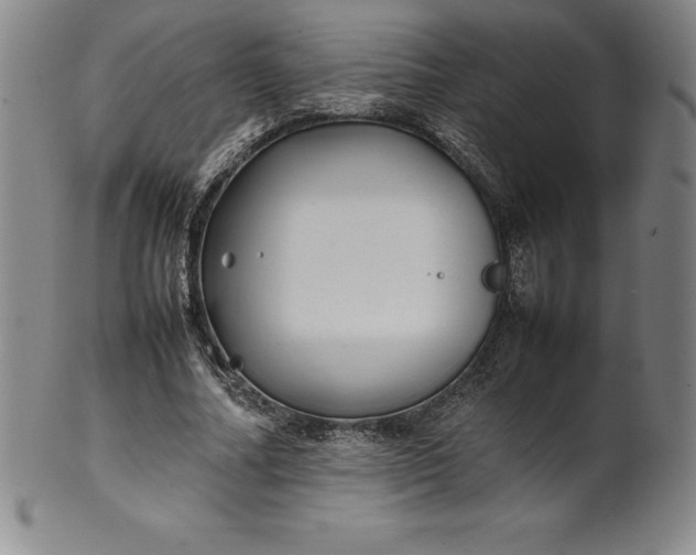 X0000100490682200806271237