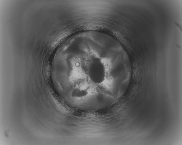 X0000100490683200806271237