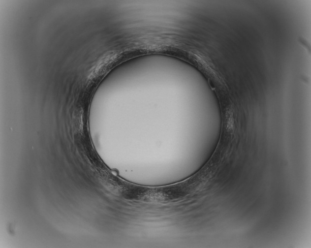 X0000100490685200806271237