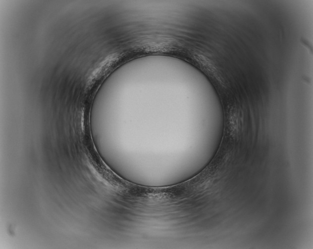 X0000100490686200806271237