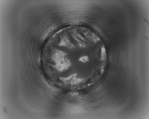 X0000100490687200806271237