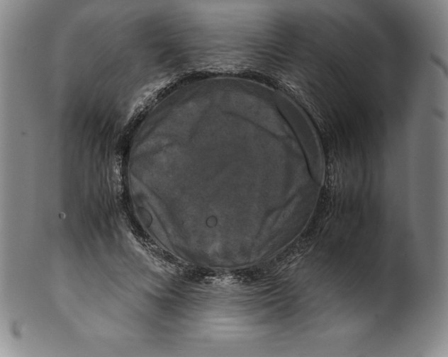 X0000100490688200806271237