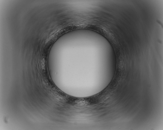 X0000100490689200806271237