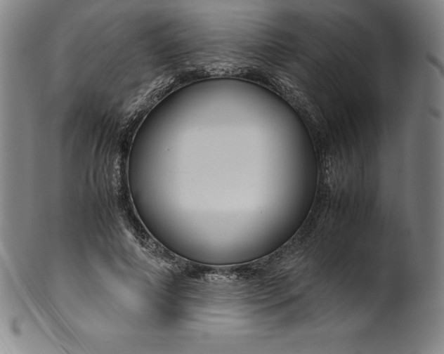 X0000100490690200806271237