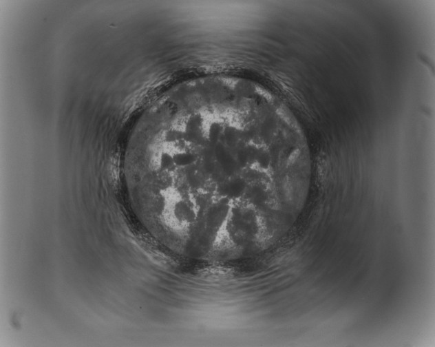 X0000100490691200806271237