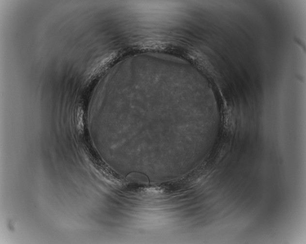 X0000100490692200806271237