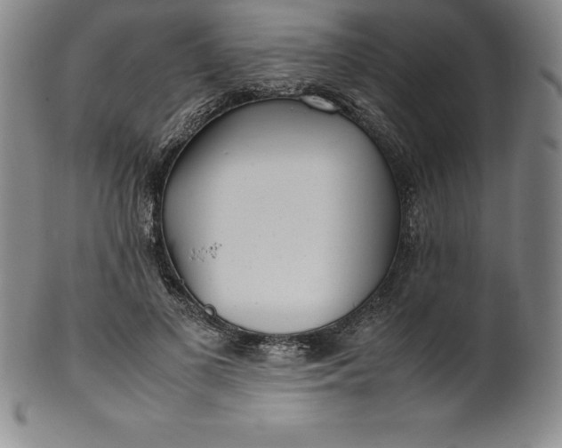 X0000100490693200806271237