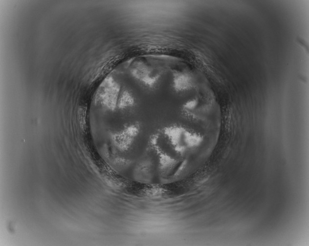 X0000100490695200806271237