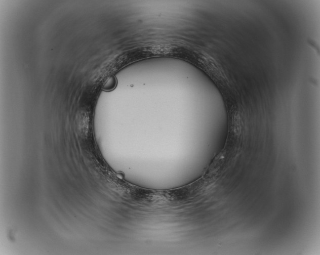 X0000100490697200806271237