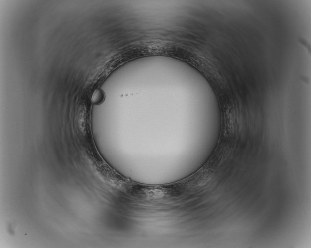 X0000100490698200806271237