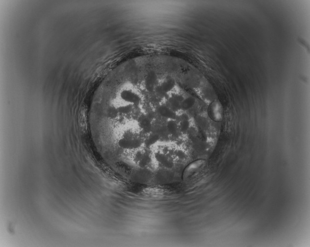 X0000100490699200806271237