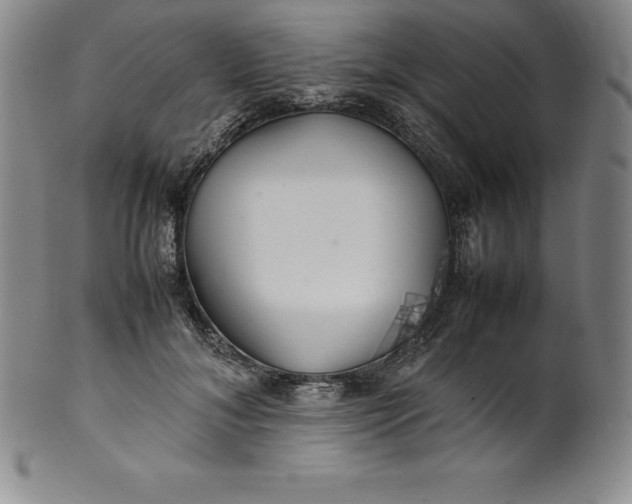 X0000100490700200806271237