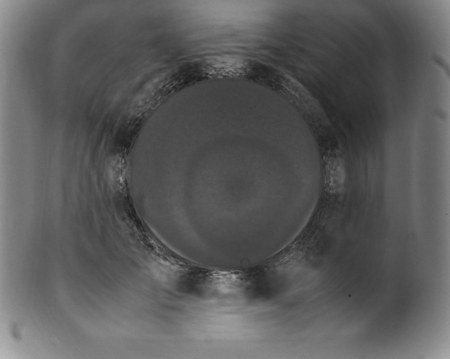 X0000100490701200806271237