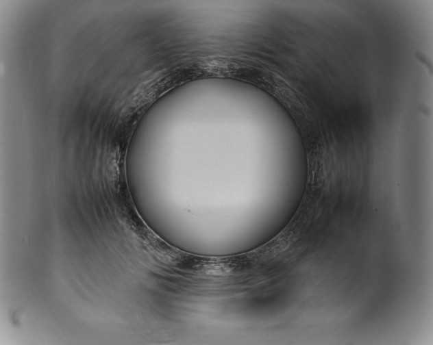 X0000100490702200806271237