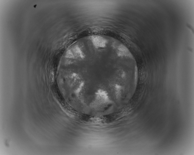 X0000100490703200806271237