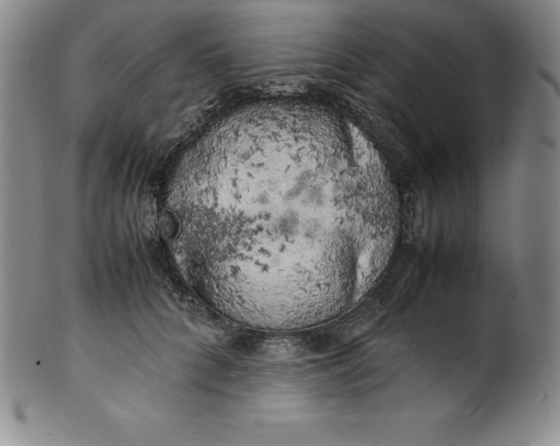 X0000100490704200806271237