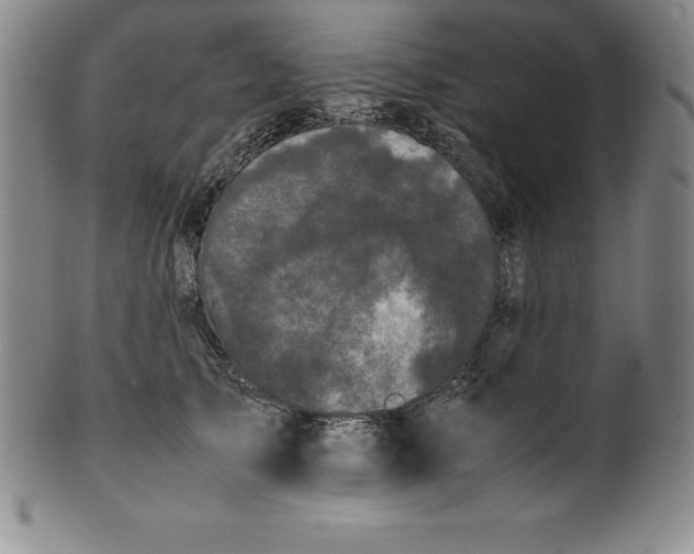 X0000100490705200806271237