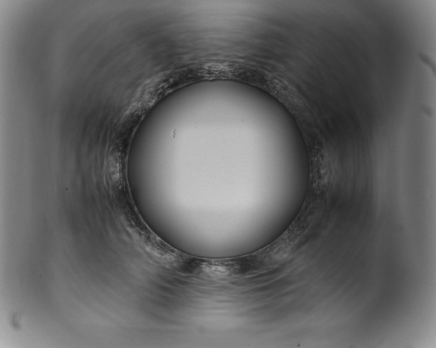 X0000100490706200806271237