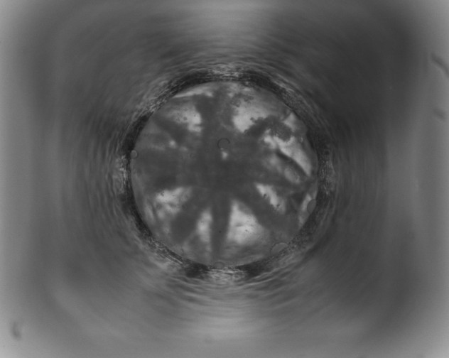 X0000100490707200806271237