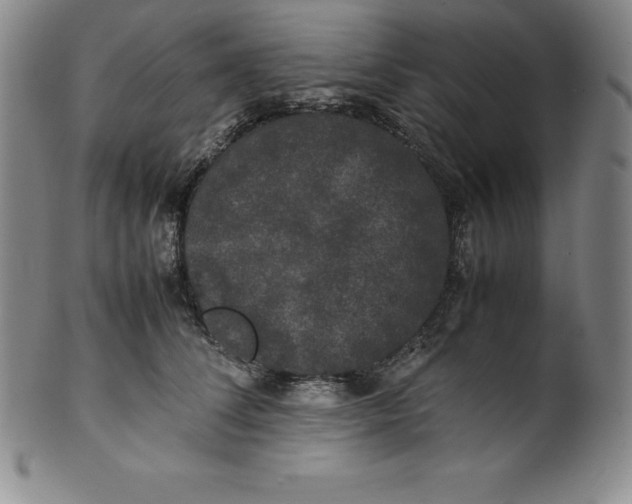 X0000100490708200806271237