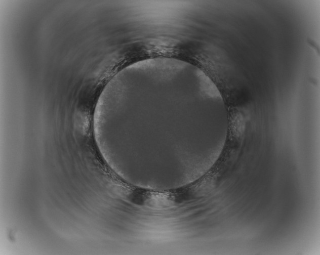 X0000100490709200806271237