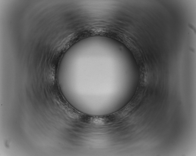 X0000100490710200806271237