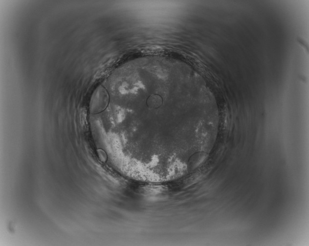 X0000100490711200806271237