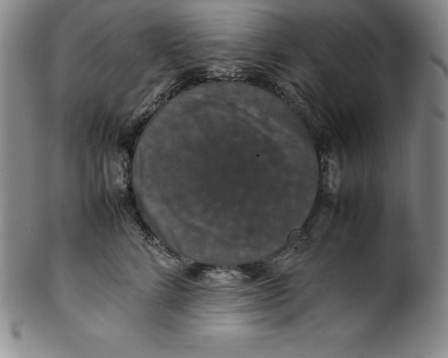 X0000100490712200806271237