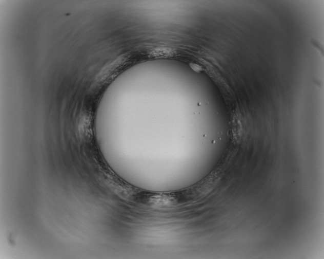 X0000100490714200806271237