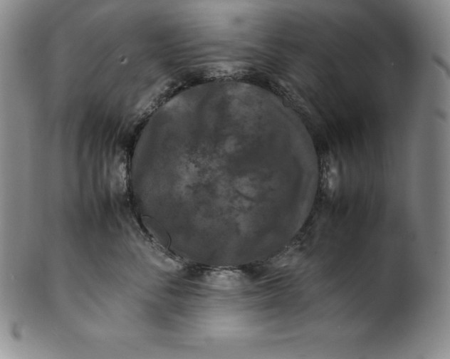 X0000100490716200806271237