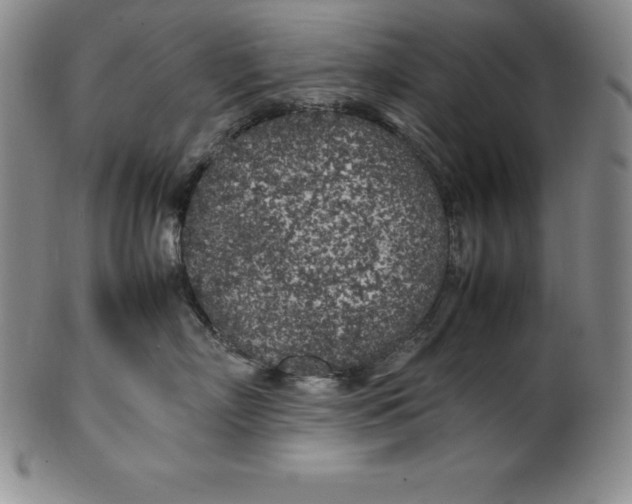 X0000100490718200806271237