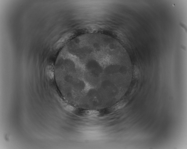 X0000100490719200806271237