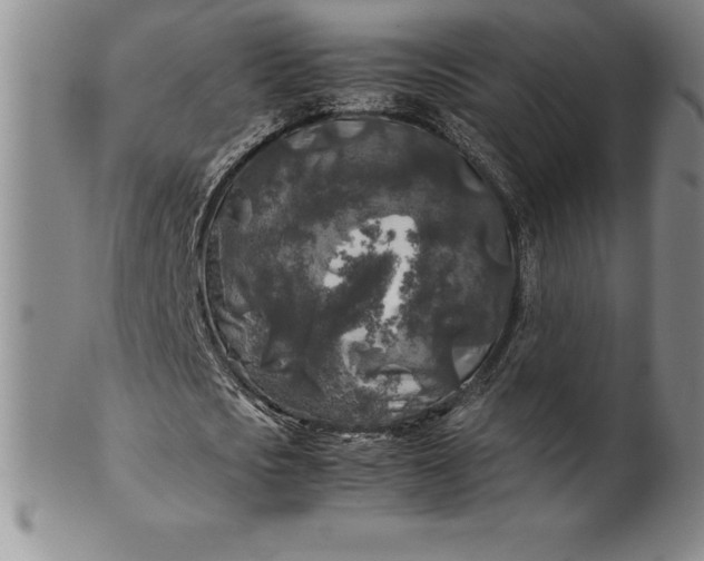 X0000100490721200806271236