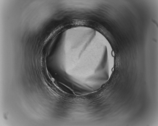 X0000100490722200806271236