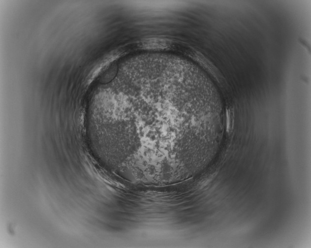 X0000100490723200806271236