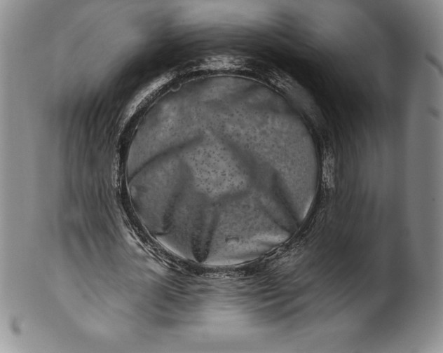 X0000100490724200806271236