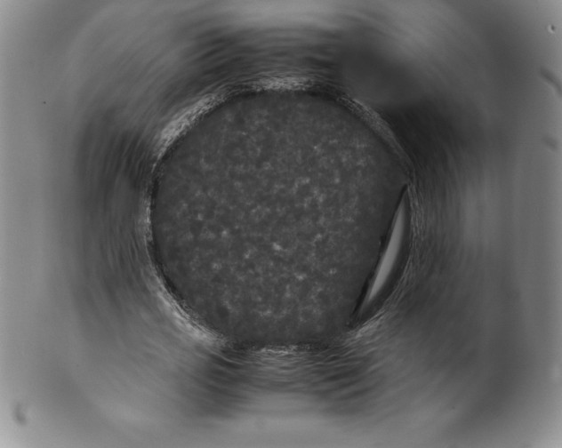 X0000100490725200806271236