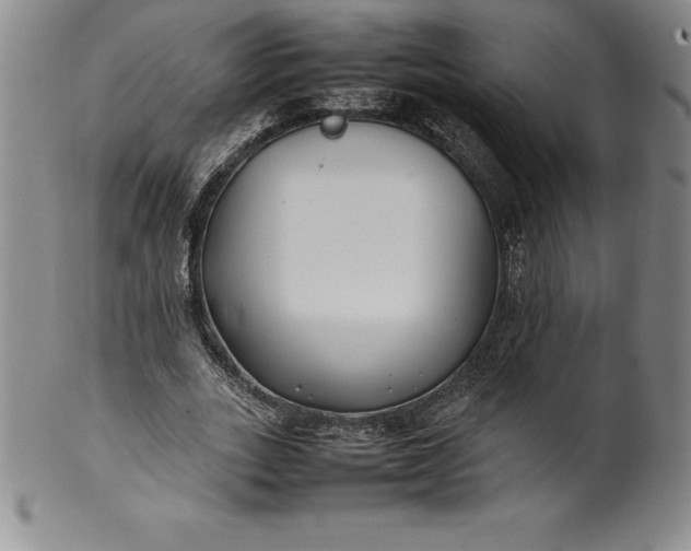 X0000100490727200806271236