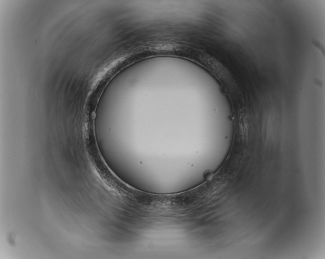 X0000100490728200806271236