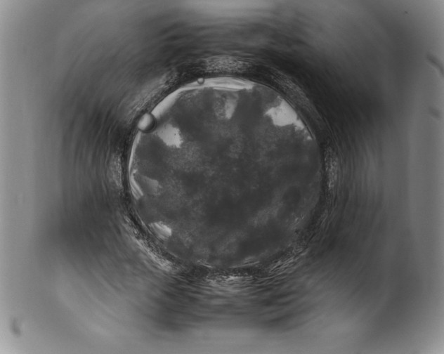 X0000100490729200806271236