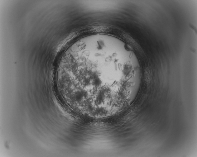 X0000100490730200806271236