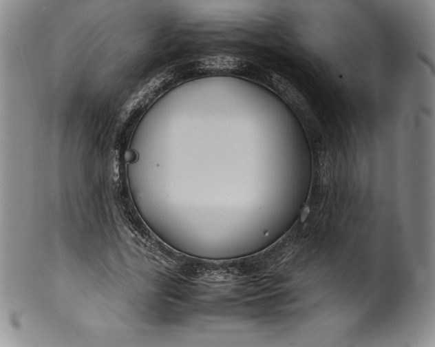 X0000100490731200806271236