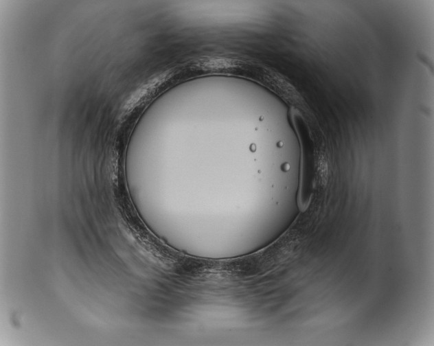 X0000100490732200806271236